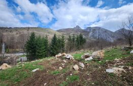 Casa individuala,65 mp,1150 mp teren,Valisoara