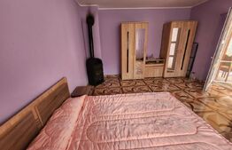 Casa individuala,65 mp,1150 mp teren,Valisoara