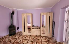 Casa individuala,65 mp,1150 mp teren,Valisoara