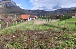 Casa individuala,65 mp,1150 mp teren,Valisoara