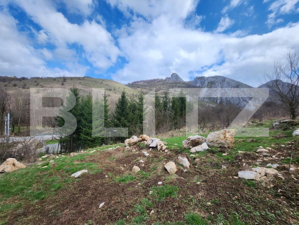 Casa de vânzare 2 camere Valisoara - 168769CV | BLITZ Alba Iulia | Poza11