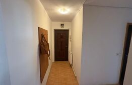 Garsoniera de vanzare, 32 mp, zona Cetate