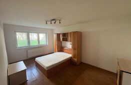 Garsoniera de vanzare, 32 mp, zona Cetate