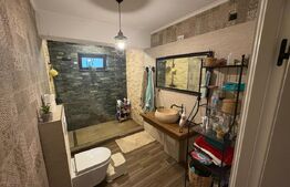 Locuinta individuala, 4 camere, 468 mp utili, zona Micesti