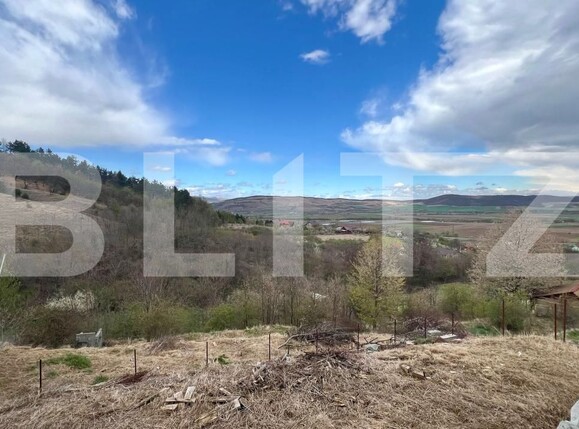 Casa de vânzare 3 camere Micești - 168824CV | BLITZ Alba Iulia | Poza7