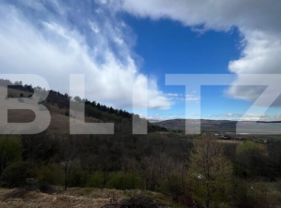 Casa de vânzare 3 camere Micești - 168824CV | BLITZ Alba Iulia | Poza8