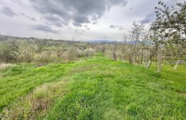 Teren intravilan de vânzare – 728 mp, Oarda de Sus, cu priveliște panoramică