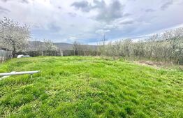 Teren intravilan de vânzare – 728 mp, Oarda de Sus, cu priveliște panoramică