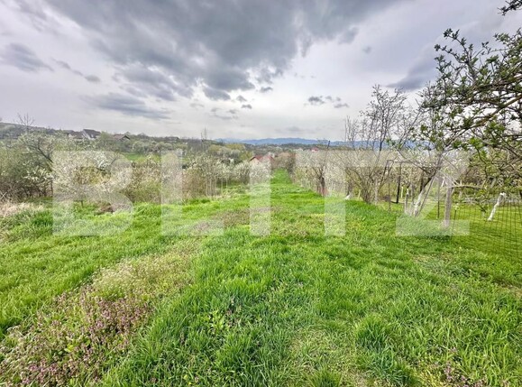 Teren de vânzare Oarda - 168826TV | BLITZ Alba Iulia | Poza2