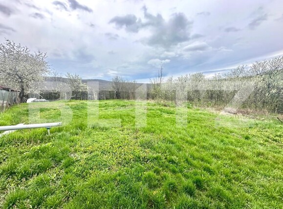 Teren de vânzare Oarda - 168826TV | BLITZ Alba Iulia | Poza1