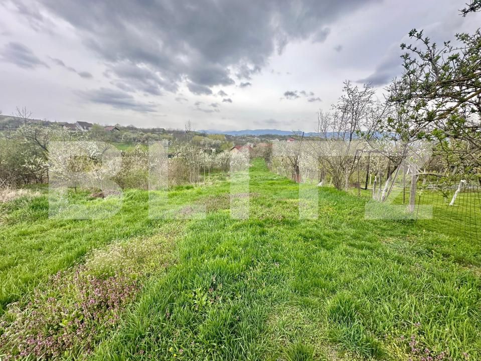 Teren de vânzare Oarda - 168826TV | BLITZ Alba Iulia | Poza2