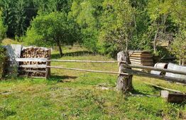 Teren intravilan 3015 mp, Garda de Sus, Ghetarul Scarisoara