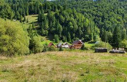 Teren intravilan 3015 mp, Garda de Sus, Ghetarul Scarisoara