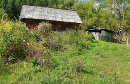 Teren intravilan 3015 mp, Garda de Sus, Ghetarul Scarisoara