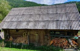 Teren intravilan 3015 mp, Garda de Sus, Ghetarul Scarisoara