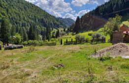 Teren intravilan 3015 mp, Garda de Sus, Ghetarul Scarisoara