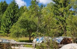 Teren intravilan 3015 mp, Garda de Sus, Ghetarul Scarisoara