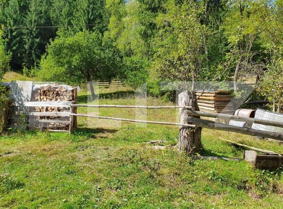 Teren de vânzare Arieseni - 168830TV | BLITZ Alba Iulia | Poza2