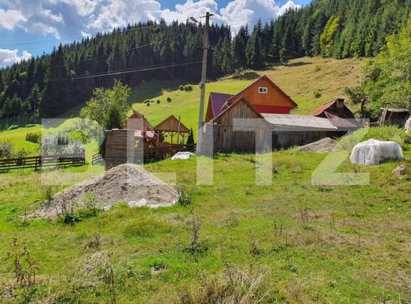 Teren de vânzare Arieseni - 168830TV | BLITZ Alba Iulia | Poza4