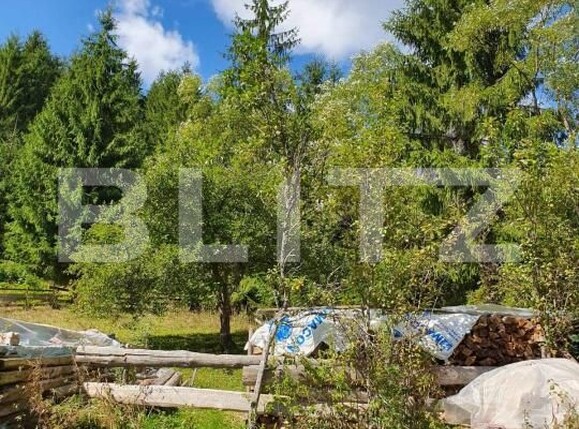 Teren de vânzare Arieseni - 168830TV | BLITZ Alba Iulia | Poza7