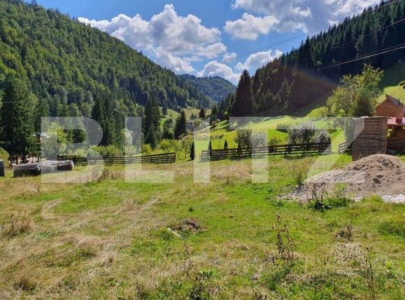 Teren de vânzare Arieseni - 168830TV | BLITZ Alba Iulia | Poza1