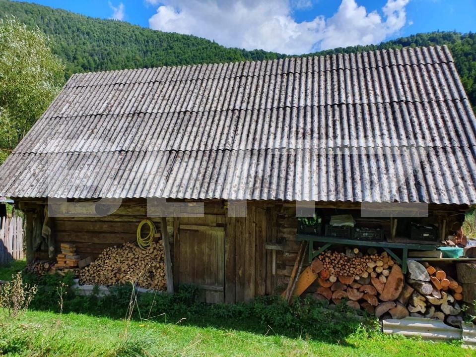 Teren de vânzare Arieseni - 168830TV | BLITZ Alba Iulia | Poza3