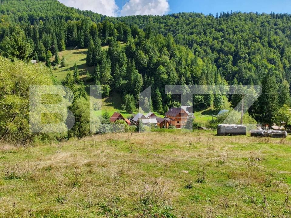 Teren de vânzare Arieseni - 168830TV | BLITZ Alba Iulia | Poza5