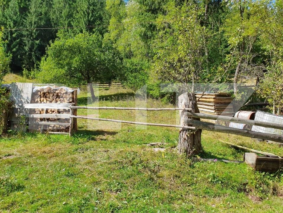 Teren de vânzare Arieseni - 168830TV | BLITZ Alba Iulia | Poza3