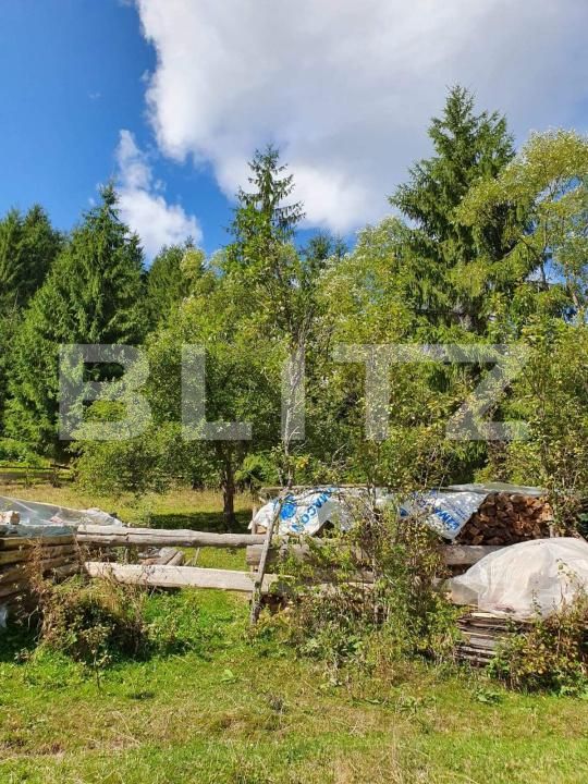 Teren de vânzare Arieseni - 168830TV | BLITZ Alba Iulia | Poza7