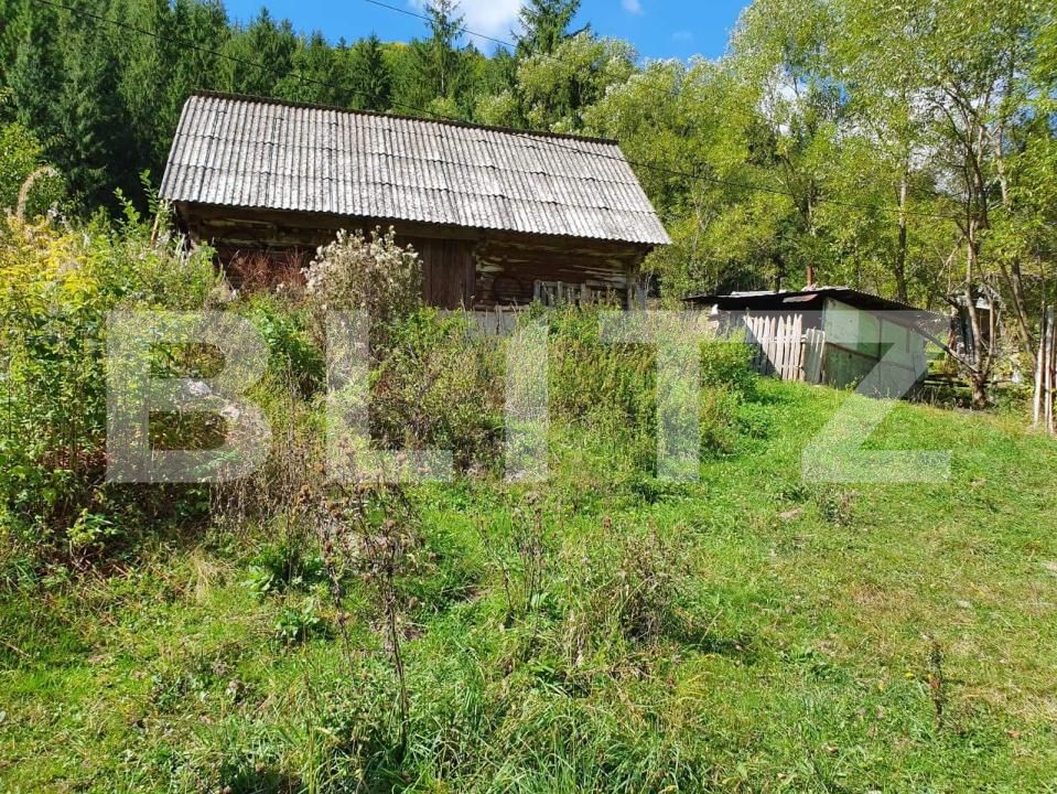 Teren de vânzare Arieseni - 168830TV | BLITZ Alba Iulia | Poza6