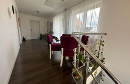 Casa moderna Sebes,5 camere,2bai,garaj 