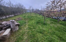 Casa individuala,cu 4 camere,200 mp utili,500 mp teren,Blaj