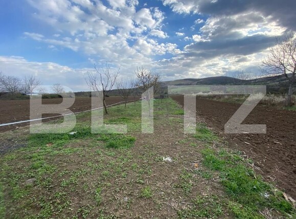 Casa de vânzare 3 camere Benic - 168910CV | BLITZ Alba Iulia | Poza12