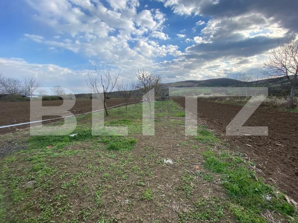 Casa de vânzare 3 camere Benic - 168910CV | BLITZ Alba Iulia | Poza12