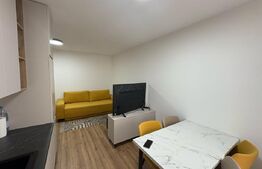 Apartament de inchiriat cu 2 camere, 43 mp,  zona Alba Mall