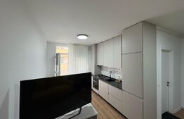 Apartament de inchiriat cu 2 camere, 43 mp,  zona Alba Mall