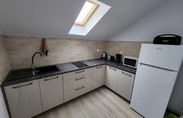 Spatiu comercial de vanzare, 60 mp, zona centrala