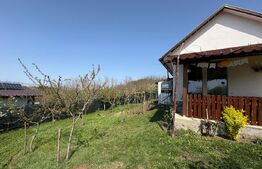 Casa de vacanta zona Ciugud