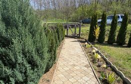 Casa de vacanta zona Ciugud