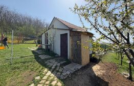 Casa de vacanta zona Ciugud