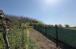 Casa de vacanta zona Ciugud