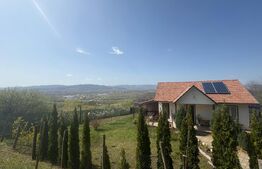 Casa de vacanta zona Ciugud