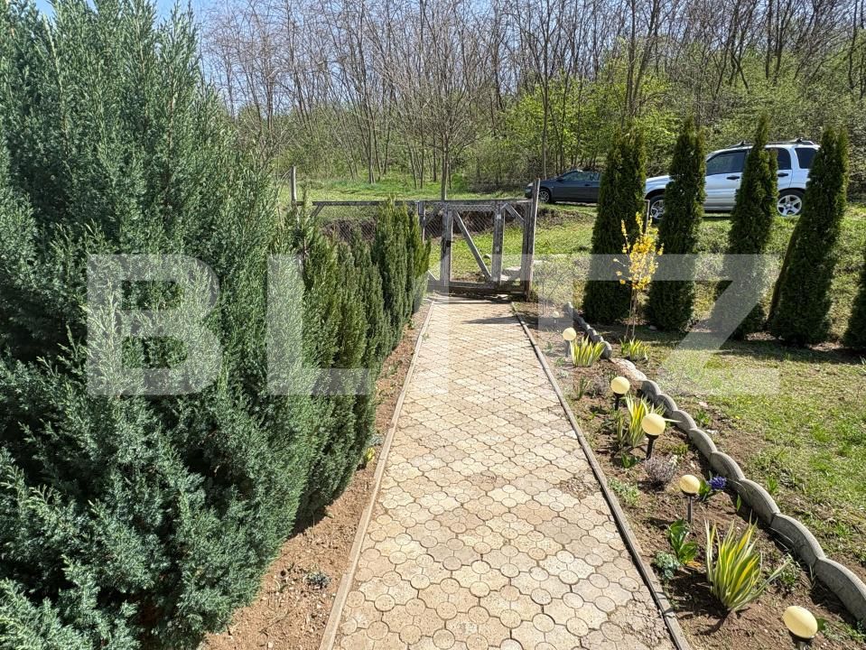 Casa de vânzare 2 camere Ciugud - 169207CV | BLITZ Alba Iulia | Poza3