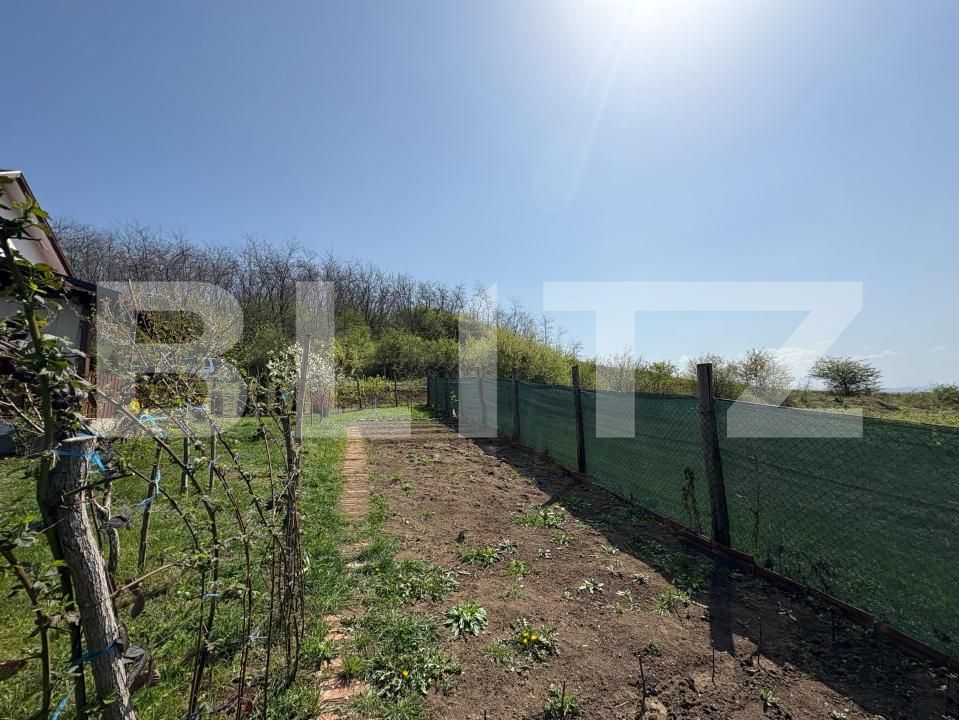 Casa de vânzare 2 camere Ciugud - 169207CV | BLITZ Alba Iulia | Poza6