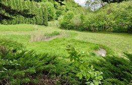 Casă de Vacanță pe Valea Ighielului – 3 camere, 2500 mp curte