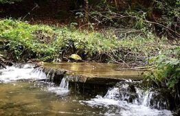 Casă de Vacanță pe Valea Ighielului – 3 camere, 2500 mp curte