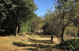 Casă de Vacanță pe Valea Ighielului – 3 camere, 2500 mp curte