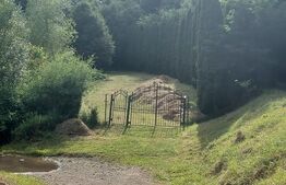 Casă de Vacanță pe Valea Ighielului – 3 camere, 2500 mp curte