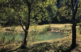 Casă de Vacanță pe Valea Ighielului – 3 camere, 2500 mp curte