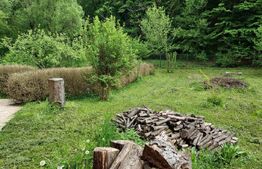 Casă de Vacanță pe Valea Ighielului – 3 camere, 2500 mp curte